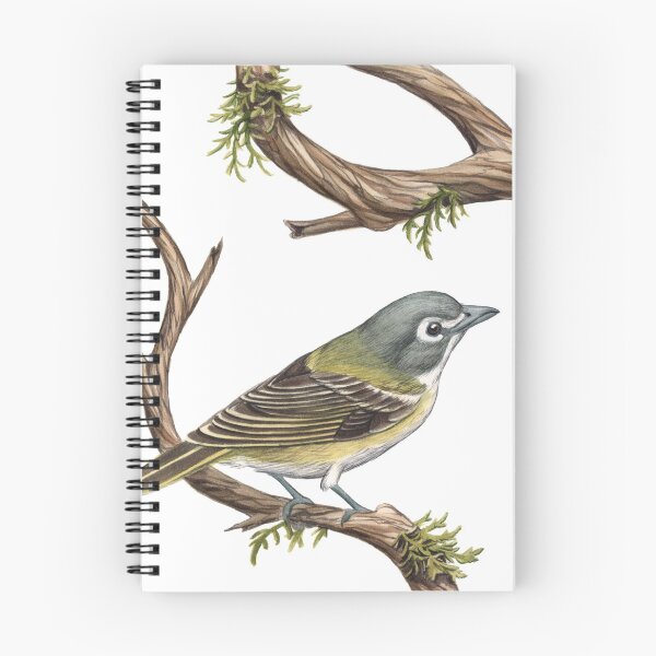 Item preview, Blue-headed Vireo (Vireo solitarius) designed and sold by JadaFitch.