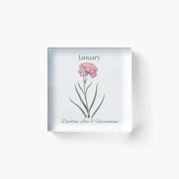Item preview, Carnation Flower Devotion, Love & Fascination (January Birth Flower) designed and sold by Rosa-Canina64.