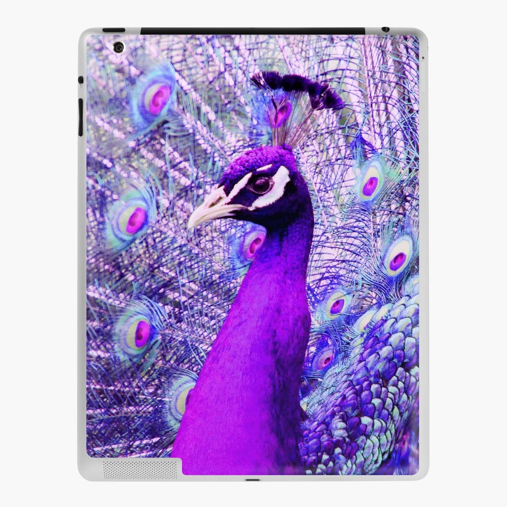 Stranded purple feathers of an exotic bird iPad Case & Skin for Sale by  NancyEle