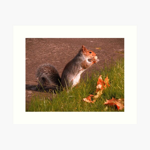 Found One Art Print