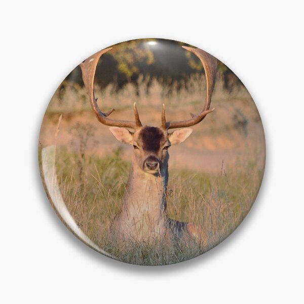 Item preview, Fallow Deer in the grass designed and sold by Vanja Rosenthal.