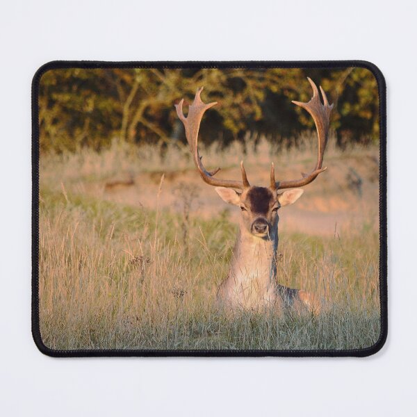 Item preview, Fallow Deer in the grass designed and sold by Vanja Rosenthal.