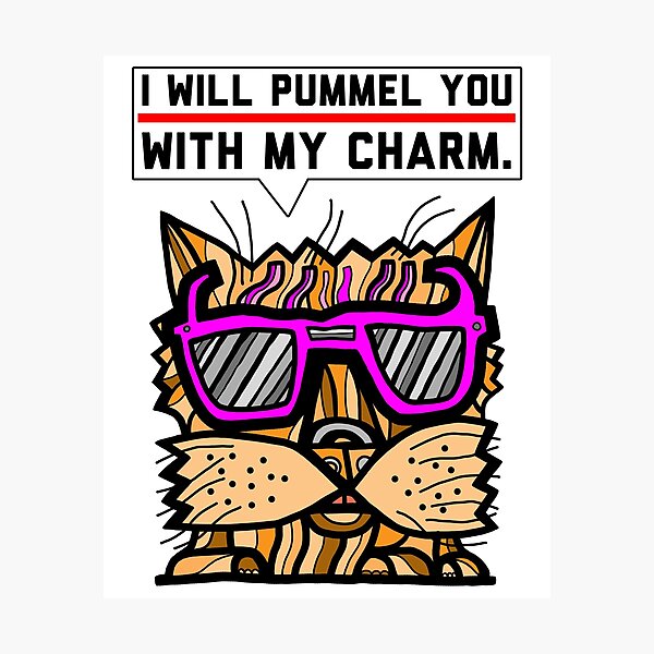 "I will pummel you with my charm." Photographic Print