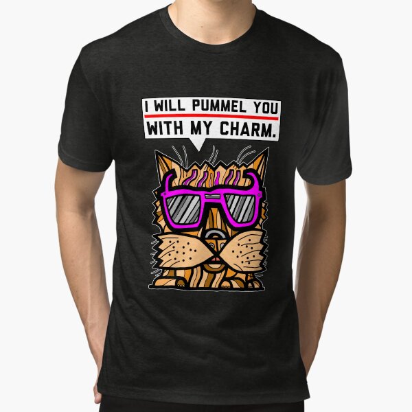 "I will pummel you with my charm." Tri-blend T-Shirt