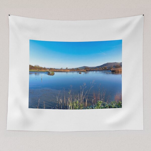 Item preview, Seaton Wetlands in Wintertime designed and sold by Dorset Girl.