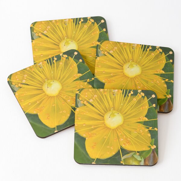 Item preview, Yellow St. John's Wort blossom designed and sold by jbb1955.