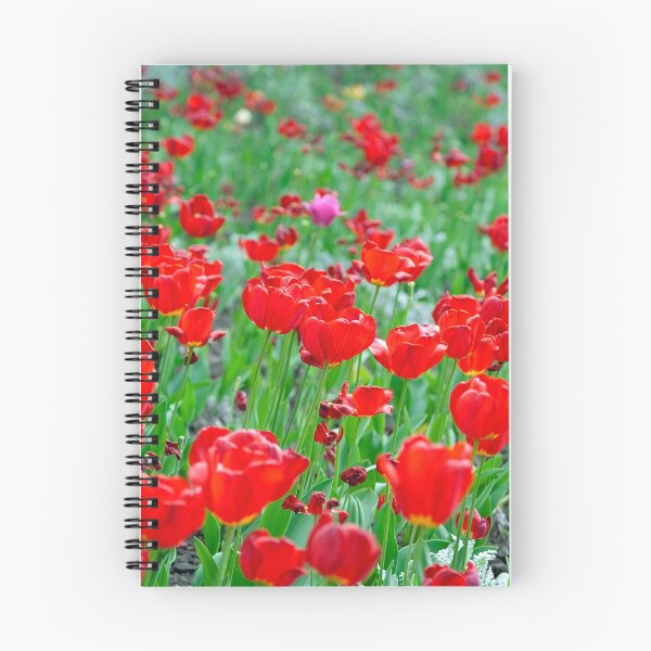 Item preview, Tulipanes en Ucrania designed and sold by richs85.