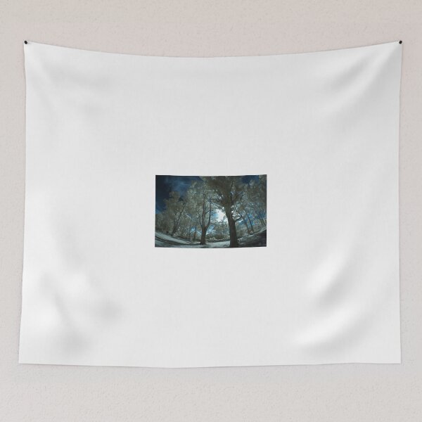 Item preview, Karri forest retreat, Albany, Western Australia designed and sold by BigAndRed.