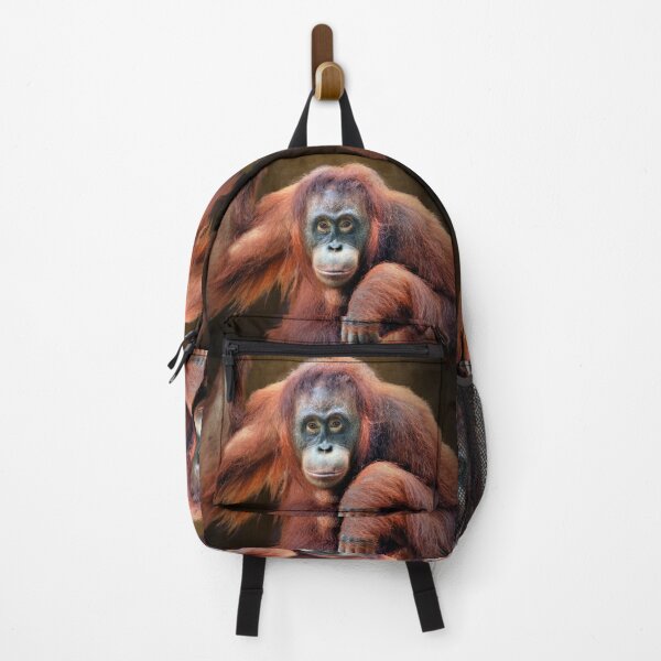 Item preview, Orangutan designed and sold by Savannah Gibbs.