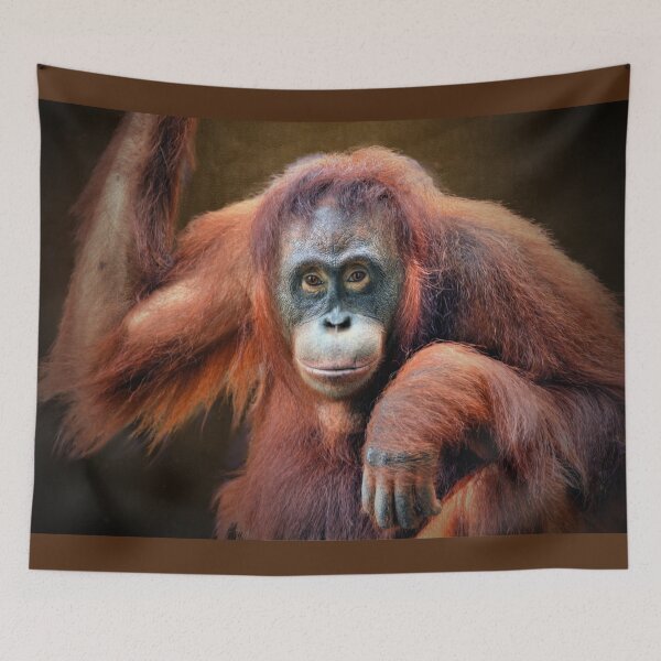 Item preview, Orangutan designed and sold by Savannah Gibbs.