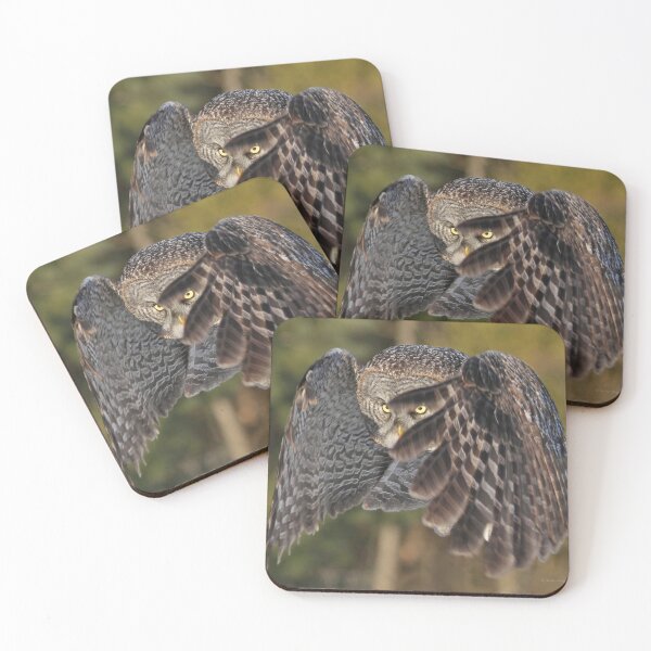 Item preview, Shields up! designed and sold by locustgirl.
