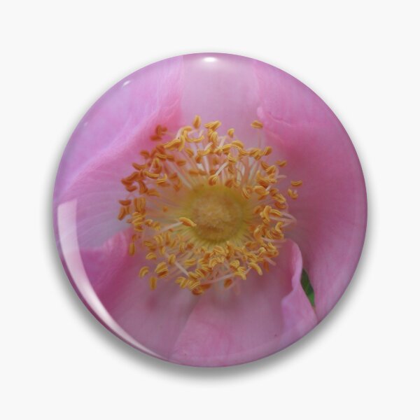 Item preview, Dive into the Flower Zone! designed and sold by SCTBUFFALOPHOTO.