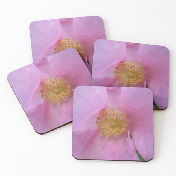 Item preview, Dive into the Flower Zone! designed and sold by SCTBUFFALOPHOTO.