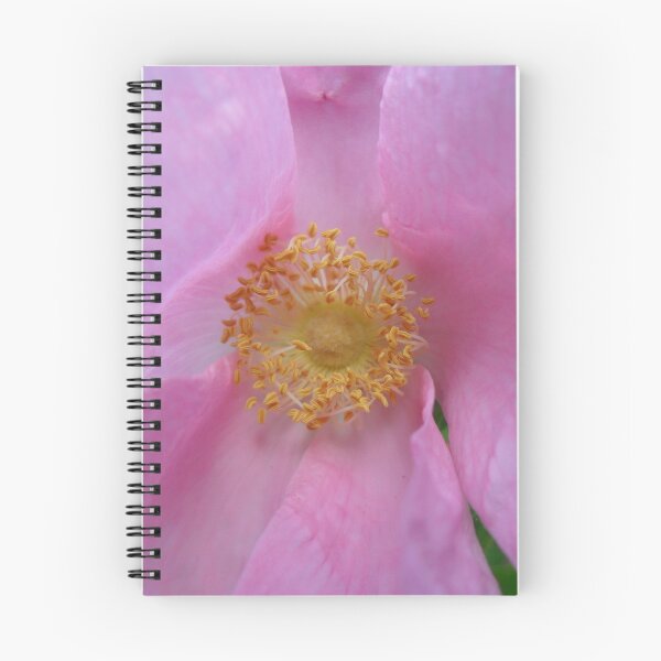 Item preview, Dive into the Flower Zone! designed and sold by SCTBUFFALOPHOTO.