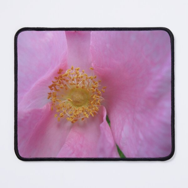 Item preview, Dive into the Flower Zone! designed and sold by SCTBUFFALOPHOTO.