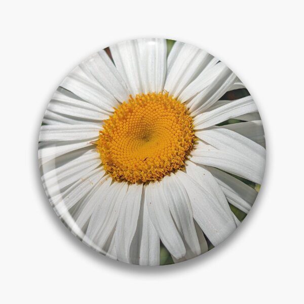 Item preview, Radiant Daisy  designed and sold by SeptemberMorn.