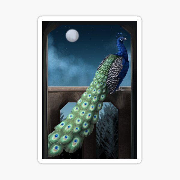 Item preview, Peacock at night designed and sold by DragonArtist15.