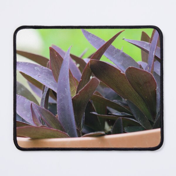 Item preview, Purple Heart/Purple Queen - Macro designed and sold by BN Designs and Photography.