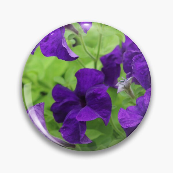 Item preview, Pretty Purple Petunias designed and sold by BN Designs and Photography.