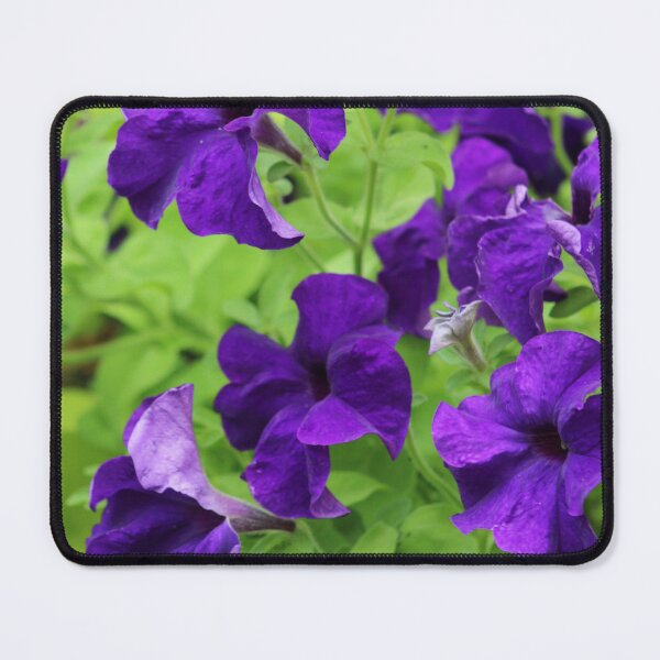 Item preview, Pretty Purple Petunias designed and sold by BN Designs and Photography.