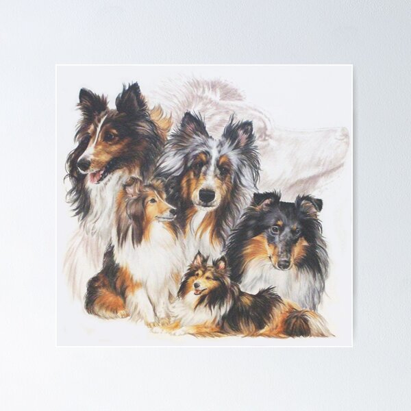 Item preview, Shetland Sheepdog Grouping designed and sold by BarbBarcikKeith.