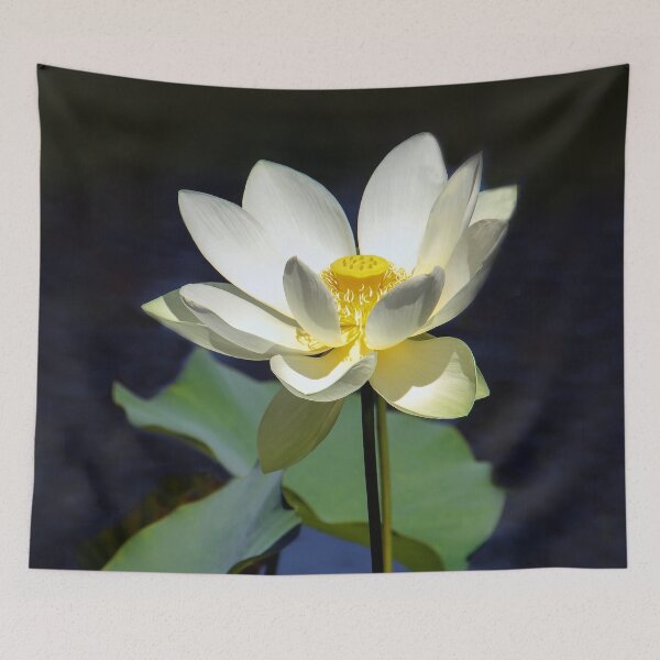 Item preview, Princess Lily designed and sold by heatherfriedman.