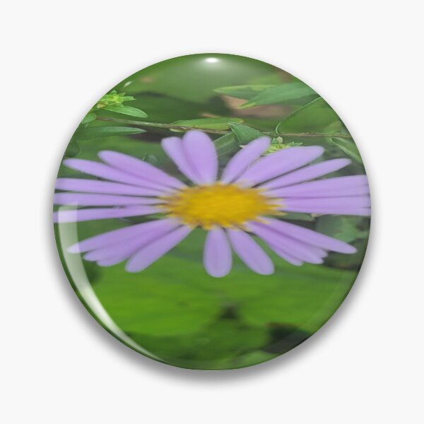 Item preview, Beautiful Aromatic aster designed and sold by Rainbowland123.