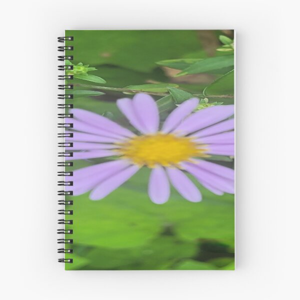 Item preview, Beautiful Aromatic aster designed and sold by Rainbowland123.