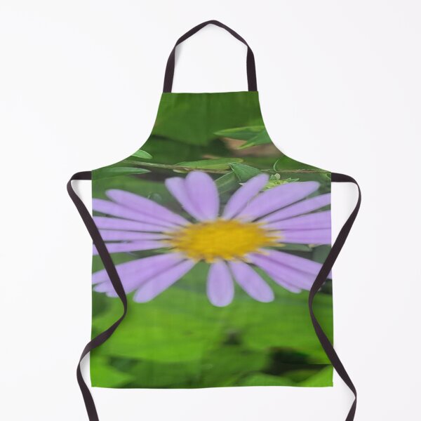 Item preview, Beautiful Aromatic aster designed and sold by Rainbowland123.