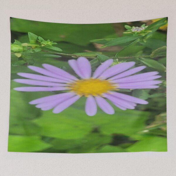 Item preview, Beautiful Aromatic aster designed and sold by Rainbowland123.