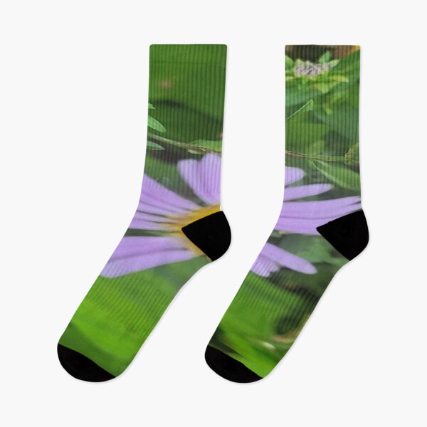 Item preview, Beautiful Aromatic aster designed and sold by Rainbowland123.