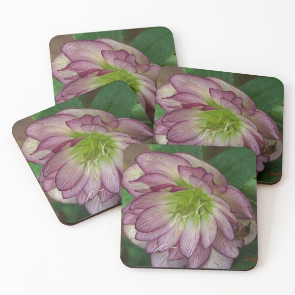 Item preview, Spring 2024 at the Arboretum (23) designed and sold by Wolf Sverak Photography.