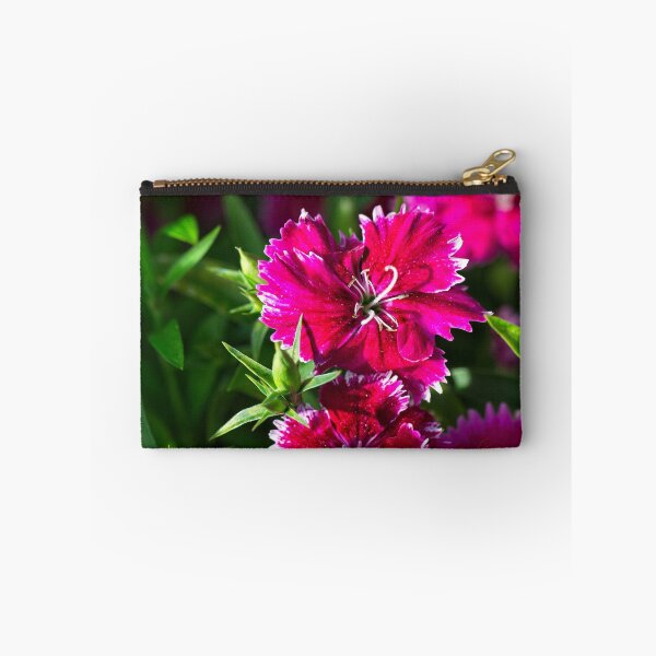 Item preview, Spring 2024 at the Arboretum (21) designed and sold by Wolf Sverak Photography.
