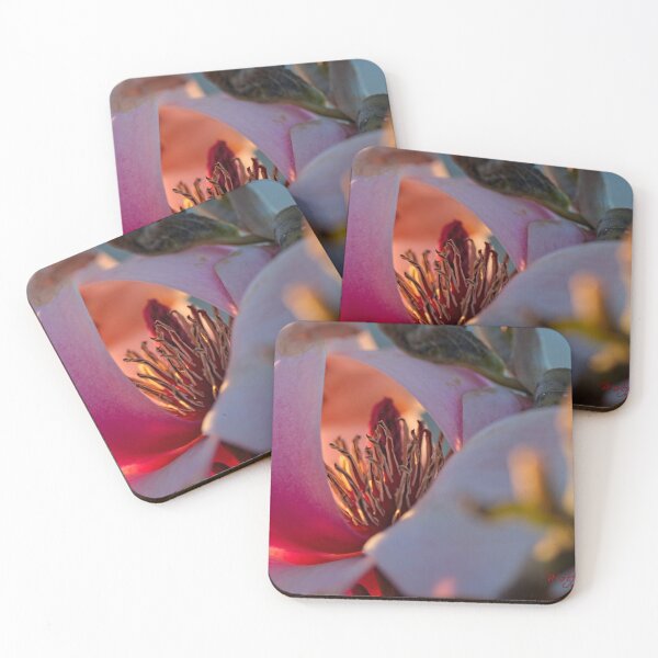 Item preview, Spring 2024 at the Arboretum (20) designed and sold by Wolf Sverak Photography.
