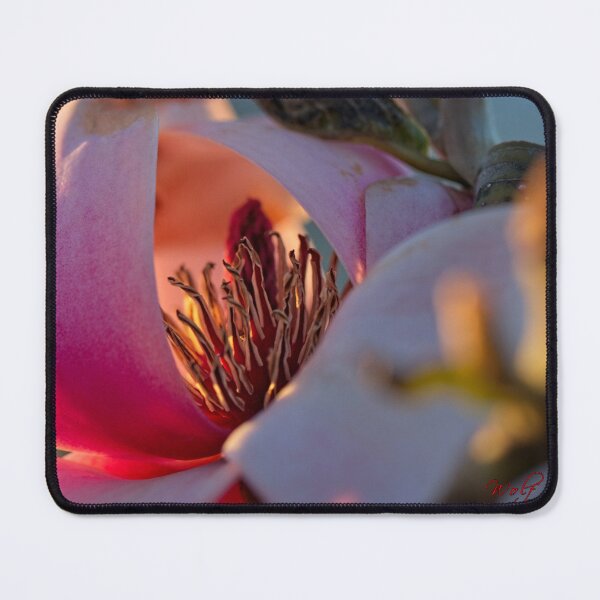 Item preview, Spring 2024 at the Arboretum (20) designed and sold by Wolf Sverak Photography.