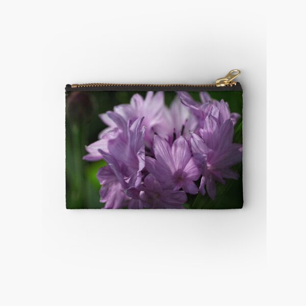 Item preview, Spring 2024 at the Arboretum (18) designed and sold by Wolf Sverak Photography.