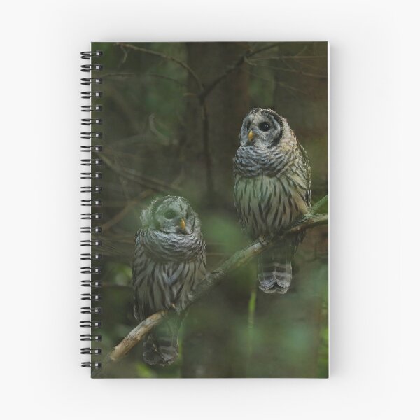 Item preview, Barred owl siblings designed and sold by locustgirl.