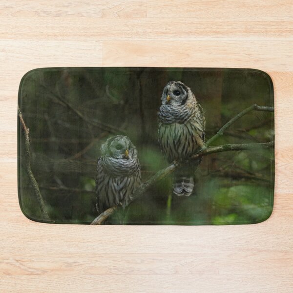 Item preview, Barred owl siblings designed and sold by locustgirl.