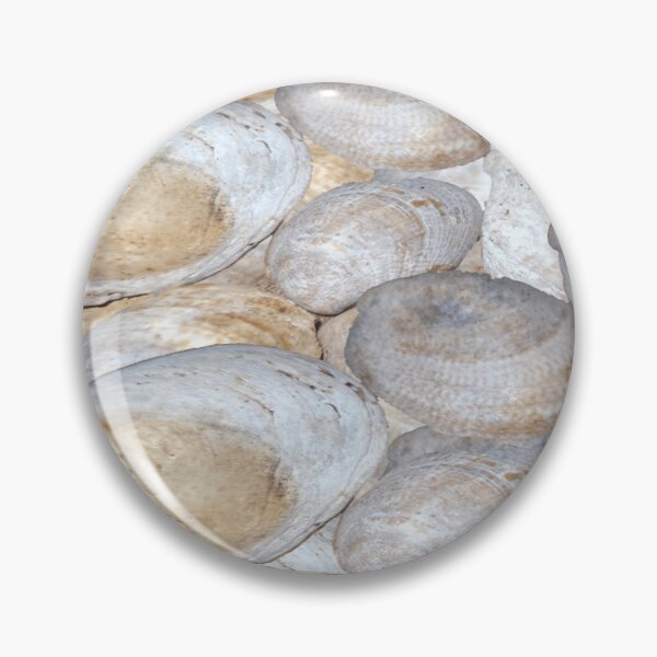 Item preview,  Very Beautiful Sea Shells designed and sold by Rainbowland123.