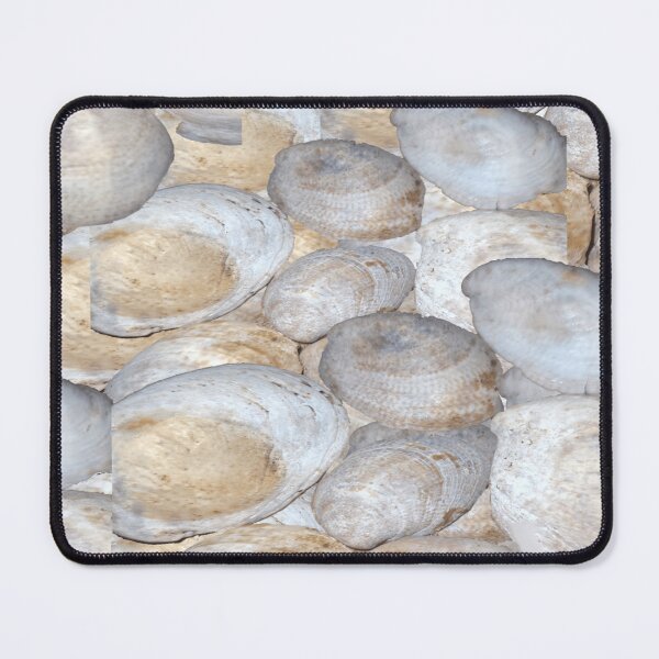Item preview,  Very Beautiful Sea Shells designed and sold by Rainbowland123.