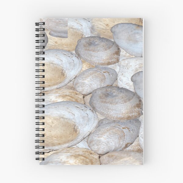 Item preview,  Very Beautiful Sea Shells designed and sold by Rainbowland123.