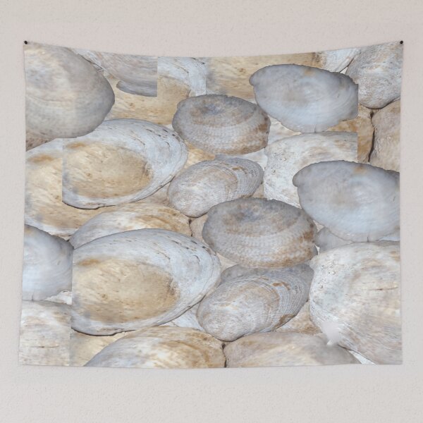 Item preview,  Very Beautiful Sea Shells designed and sold by Rainbowland123.