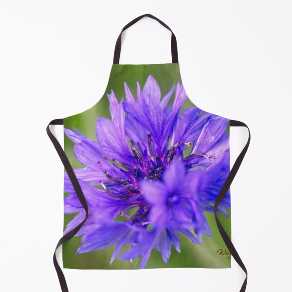 Item preview, Spring 2024 at the Arboretum (17) designed and sold by Wolf Sverak Photography.