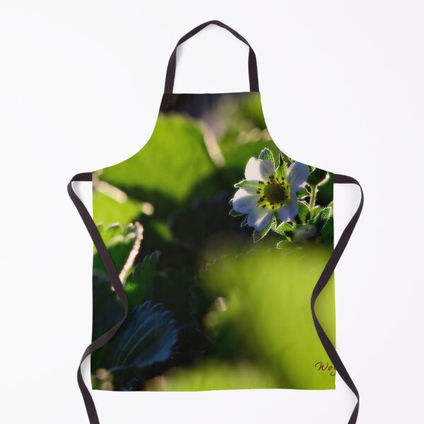 Item preview, Spring 2024 at the Arboretum (16) designed and sold by Wolf Sverak Photography.