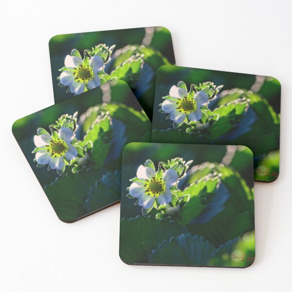 Item preview, Spring 2024 at the Arboretum (15) designed and sold by Wolf Sverak Photography.