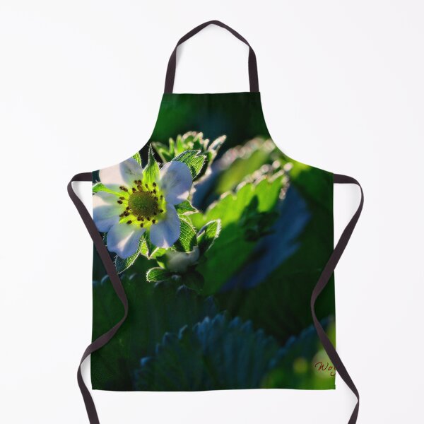 Item preview, Spring 2024 at the Arboretum (15) designed and sold by Wolf Sverak Photography.