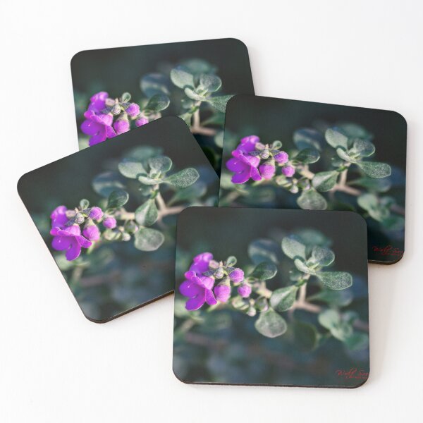 Item preview, Spring 2024 at the Arboretum (13) designed and sold by Wolf Sverak Photography.