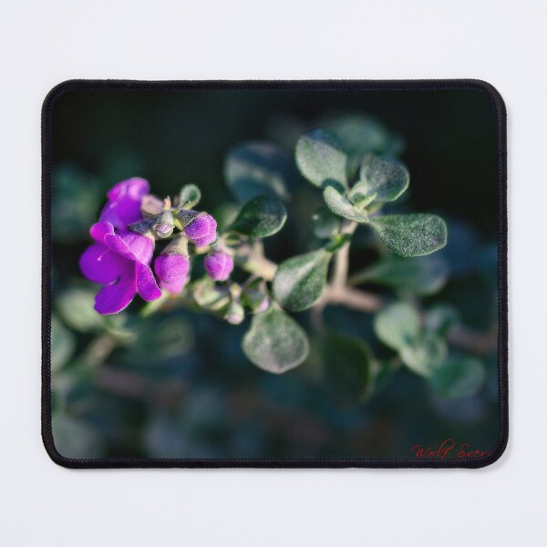 Item preview, Spring 2024 at the Arboretum (13) designed and sold by Wolf Sverak Photography.