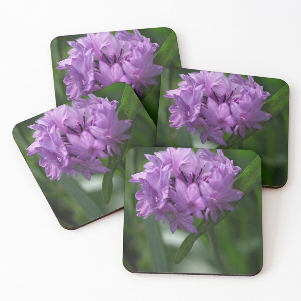 Item preview, Spring 2024 at the Arboretum (11) designed and sold by Wolf Sverak Photography.