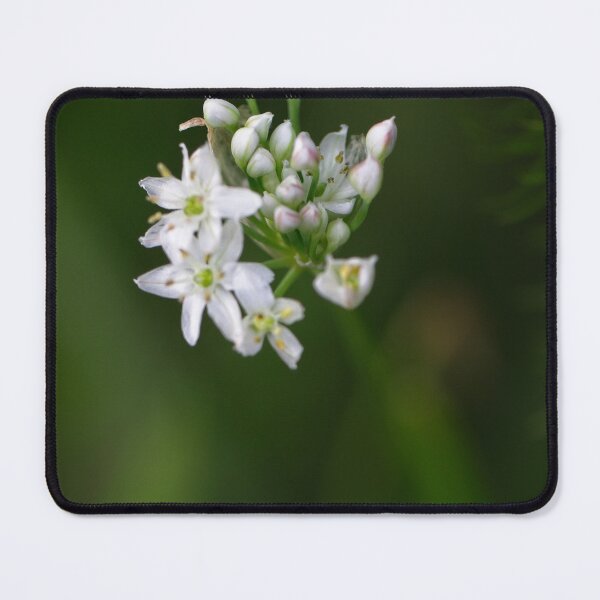 Item preview, Spring 2024 at the Arboretum (10) designed and sold by Wolf Sverak Photography.